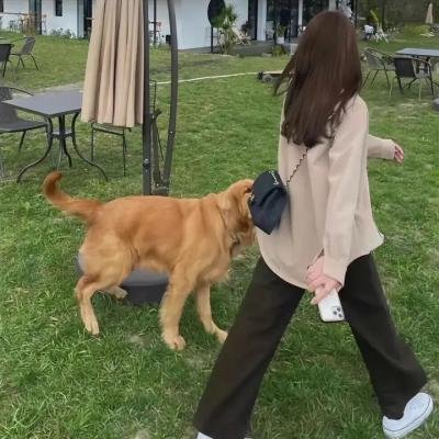 随身变2:我们才是一家人